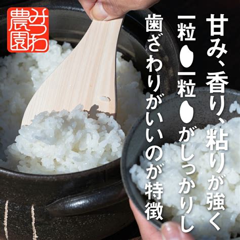 【楽天市場】【ふるさと納税】《先行予約》令和5年産 令和6年産 金賞受賞農家が贈る コシヒカリ 米 10kg 新米 白米 産地直送 みつわ農園