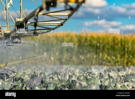 Modern agriculture-irrigation systems Stock Photo - Alamy