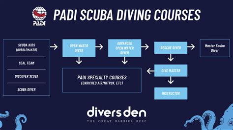 The Padi Course Progression Cairns Dive Courses Divers Den