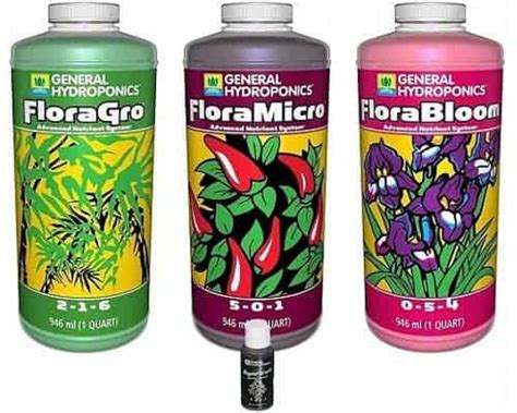 Best Indoor Plant Fertilizer: Top 10 Picks | Indoor Gardening