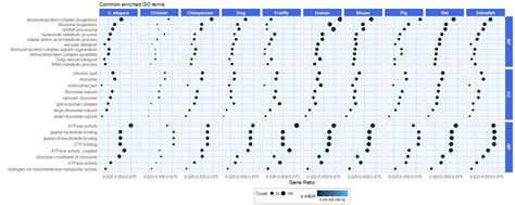 Gene homology Part 3 – Visualizing Gene Ontology of Conserved Genes | R ... 