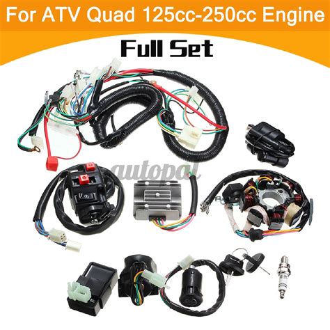 Full Wiring Harness Loom Solenoid Coil Regulator Cdi Cc Atv