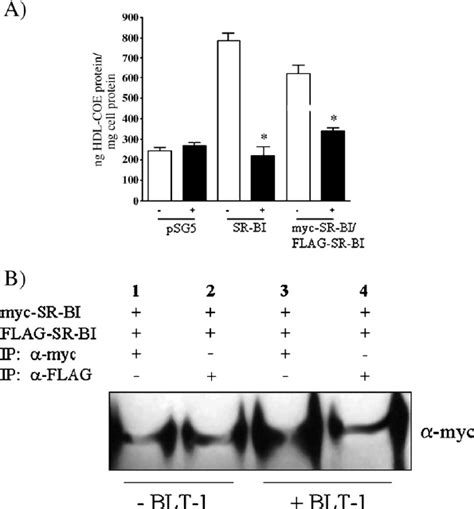 BLT 1 Inhibition Of SR BI A Uptake Of HDL COE COS 7 Cells