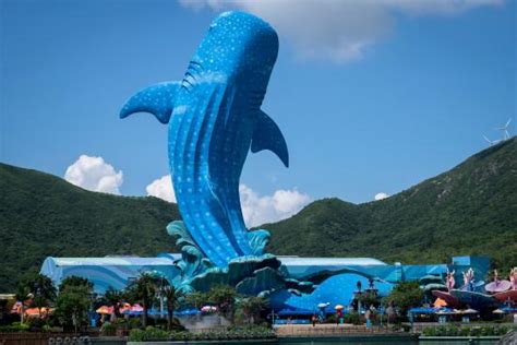 Chimelong Ocean Kingdom Zhuhai 2020 All You Need To Know Before You