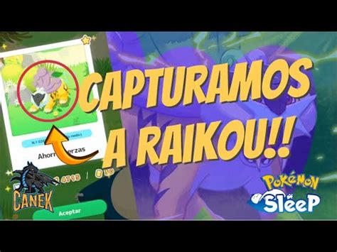 Como Capturar A Raikou En Su Evento Legendario De Pokemon Sleep En