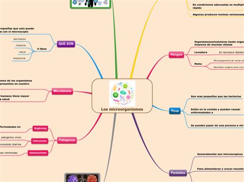 Los Microorganismos Mindmap Voorbeeld