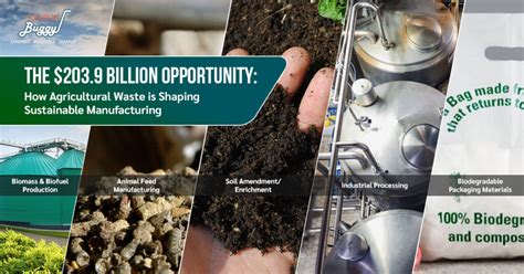 Turn Agricultural Waste into Sustainable Products: Your Business Guide