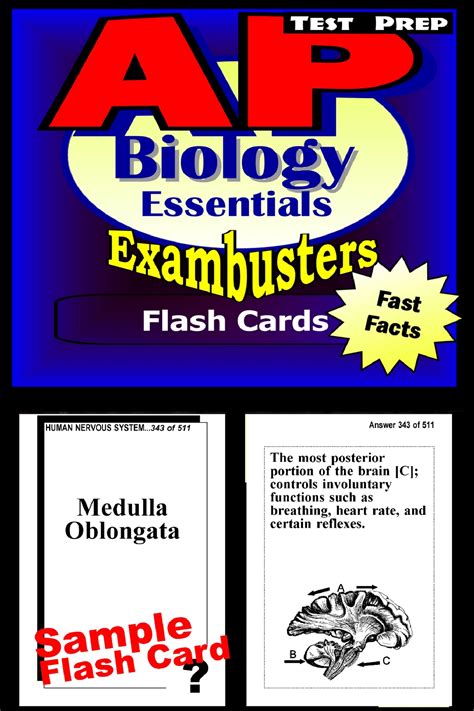 AP Biology Test Prep Review Exambusters Flash Cards AP Exam Study Guide