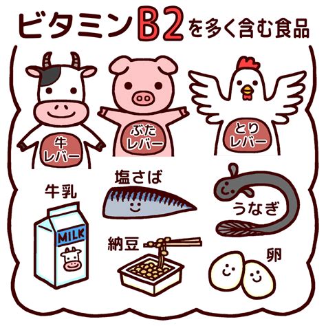 ビタミンb2を多く含む食品カラー給食の無料イラスト生活学校素材