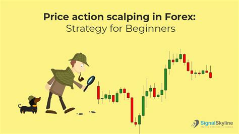 Forex For Beginners Fast Scalping Forex Hedge Fund