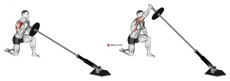 Landmine Kneeling One Arm Shoulder Press Home Gym Review