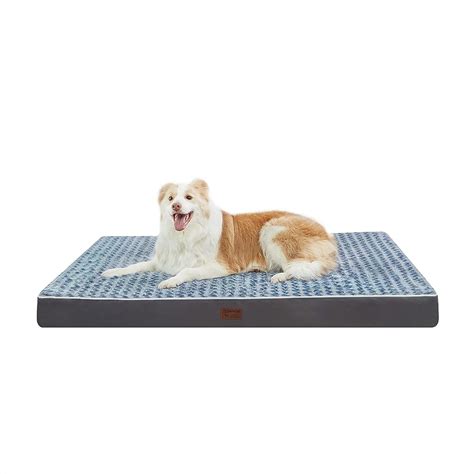 7 Best Extra-Large & Giant Dog Beds