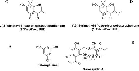 chemical structure of phloroglucinol (a) and saroaspidin a (B), a ...