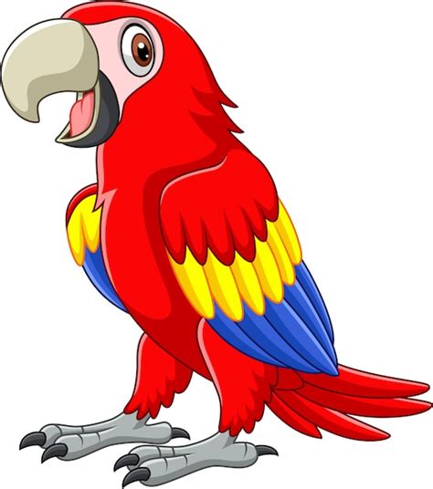 Premium Vector Cartoon Funny Macaw