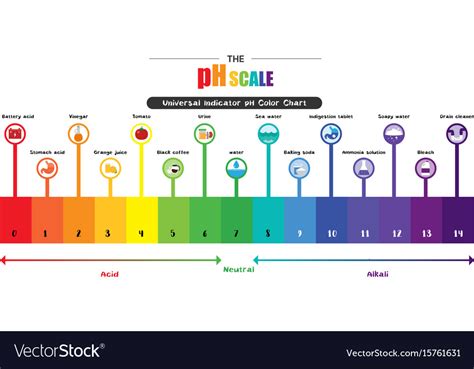 Escala De Ph Indicador Universal Themelower