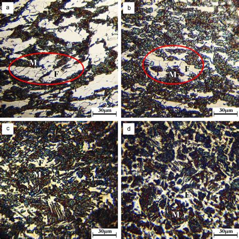 The Microstructure Of Deformed Specimens Under The Strain Rate Of 001