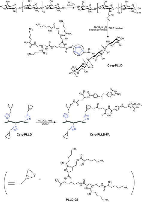 Synthesis Route To Cs N 3 The Azido Functionalized Chitosan Download Scientific Diagram