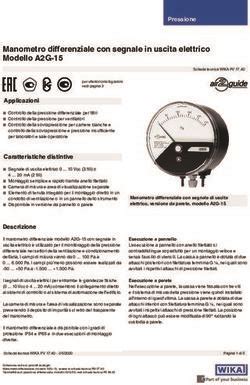 Manometro Differenziale Con Segnale In Uscita Elettrico Modello A G