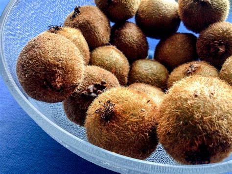 Premium Photo Close Up Of Passion Fruits In Glass Bowl