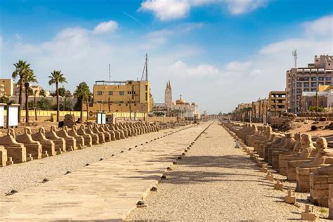 Sphinx Allee In Luxor Egypt Stock Photo Image Of Head Architecture