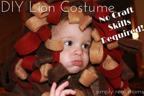 DIY Lion Costume with little to no craft skills required. This is ...