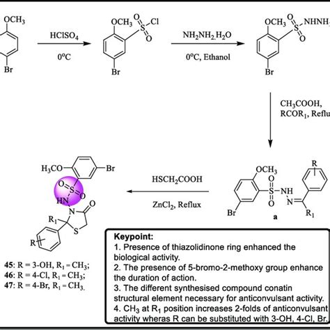 Scheme Thiazolidinone Phenyl Linked Sulfonamide Derivatives Showing