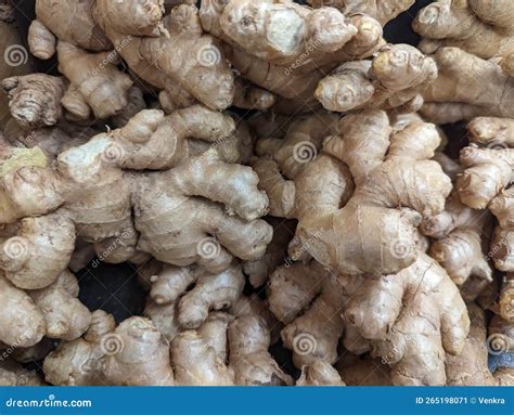 Desi Ginger Picante Indio Variedad De Jengibre Con Sabor Acre Imagen De