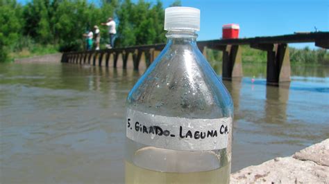 Científicos Hallaron Hormonas De Origen Humano En Un Arroyo De Chascomús Infobae