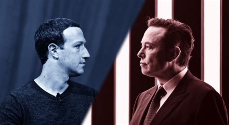 Mark Zuckerberg E Elon Musk V O Lutar Veja O Que Se Sabe Tvbv Online