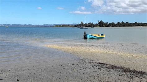 Beach Haven North Shore Auckland New Zealand Youtube