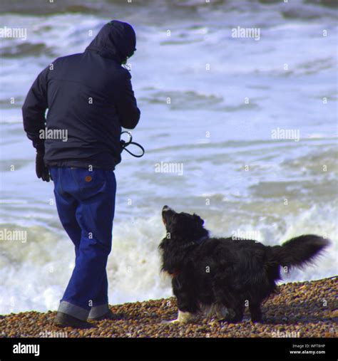 Rear View Of Man With Black Dog Standing On Shore Stock Photo Alamy