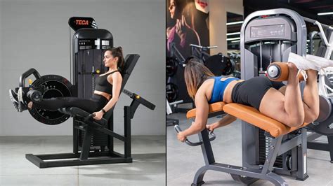 leg extension  leg curl maximize leg strength fast xcelerategyms