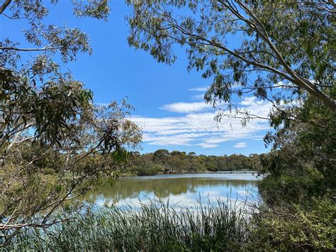 Newport Lakes Reserve Life In Melbourne