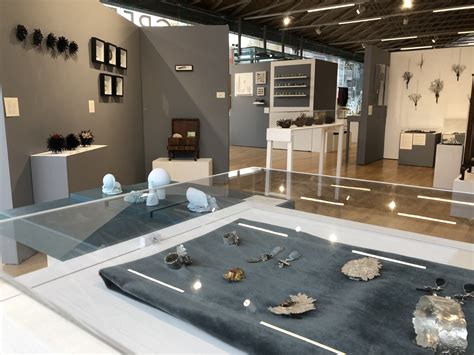 Uncommon Beauty: Objects of Curiosity & Wonder, 2023 — Anne Gibbs