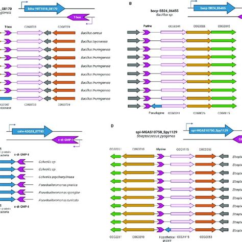 Representative Pathways Of Genes Regulated By Antisense Acting