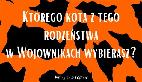 Kt Rego Kota Z Tego Rodze Stwa W Wojownikach Wybierzesz Wojownicy