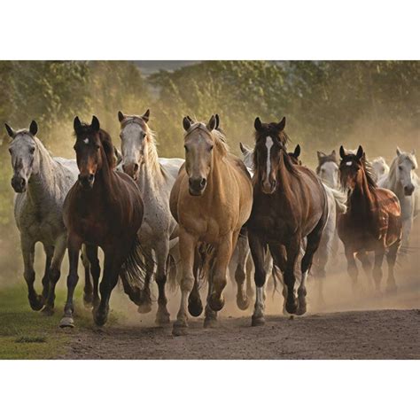 Puzzle 1000 pièces Chevaux au galop Diset Rue des Puzzles