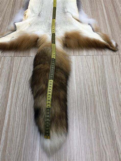 Real Luxury Fox Pelt Red Fox Pelt Genuine Fox Pelt 100 Etsy