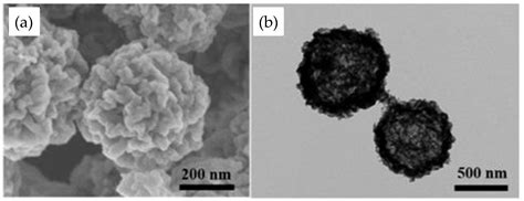 Catalysts Free Full Text From Fenton And Orr 2e− Type Catalysts To