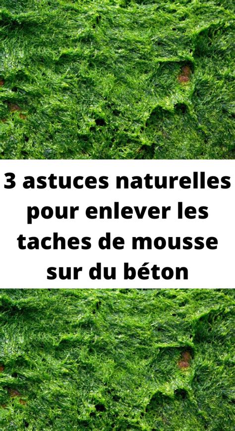 Comment Enlever La Mousse Sur Des Dalles Gravillonn Es Enlever La