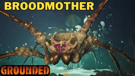 How To Unlock Infected Broodmother Cave Infected Broodmother Location