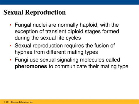 Chapter 31 Fungi Ppt Download