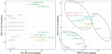 Principal Component Analysis Pca Of Transcriptomes A The Pc1 And Download Scientific