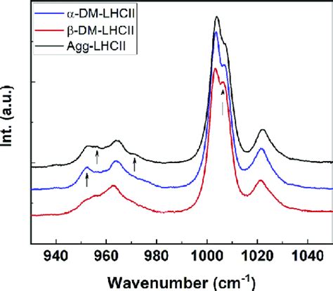 ν 3 And ν 4 Regions Of Resonance Raman Spectra Of Lhcii Resonance