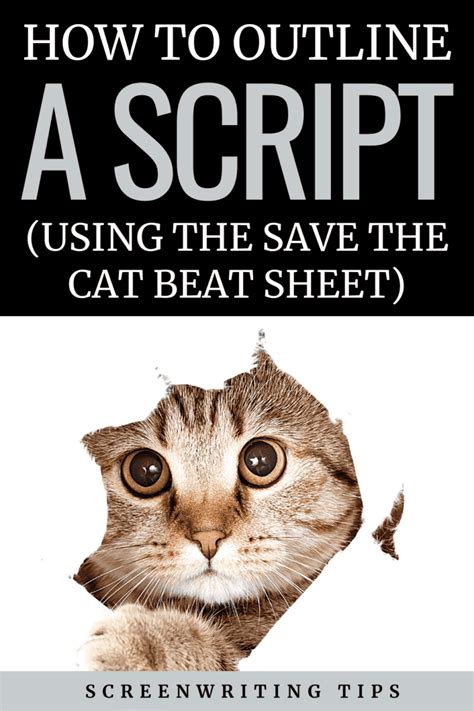 Save The Cat Beat Sheet For Screenwriters Free Template