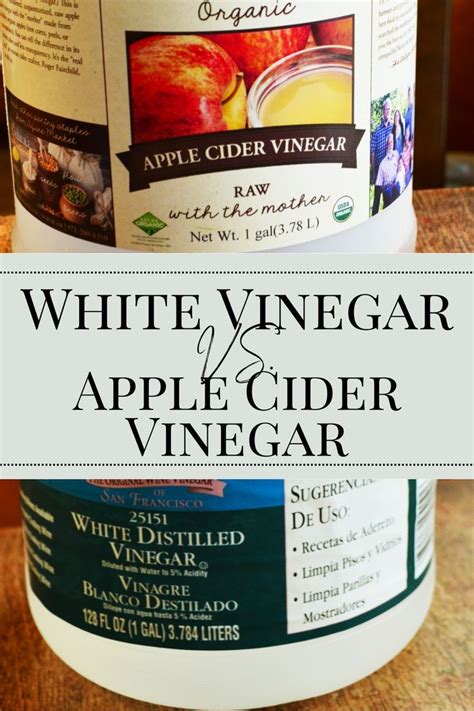 White Vinegar Vs Apple Cider Vinegar Difference Between Apple Cider