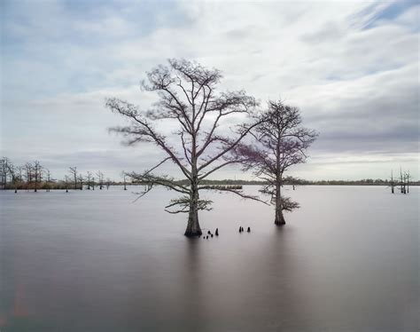 Louisiana’s Disappearing Coast | The New Yorker