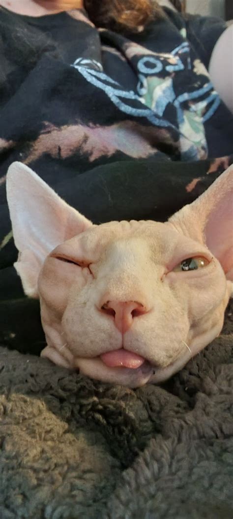 winter  pink chicken  tumblr