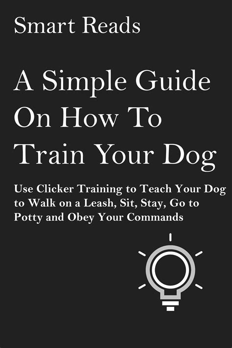 Babelcube – A simple guide on how to train your dog