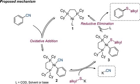 Nickel‐catalyzed Thiolation Of Aryl Nitriles Delcaillau 2021 Chemistry A European